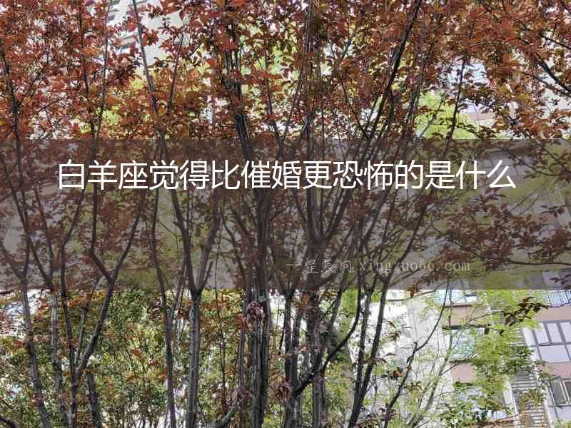 白羊座覺(jué)得比催婚更恐怖的是什么