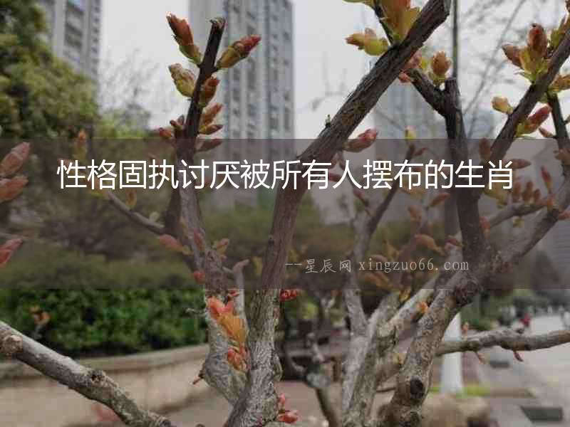 性格固執(zhí)討厭被所有人擺布的生肖