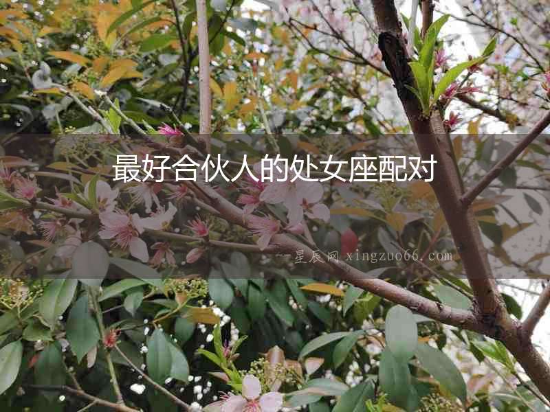 最好合伙人的處女座配對