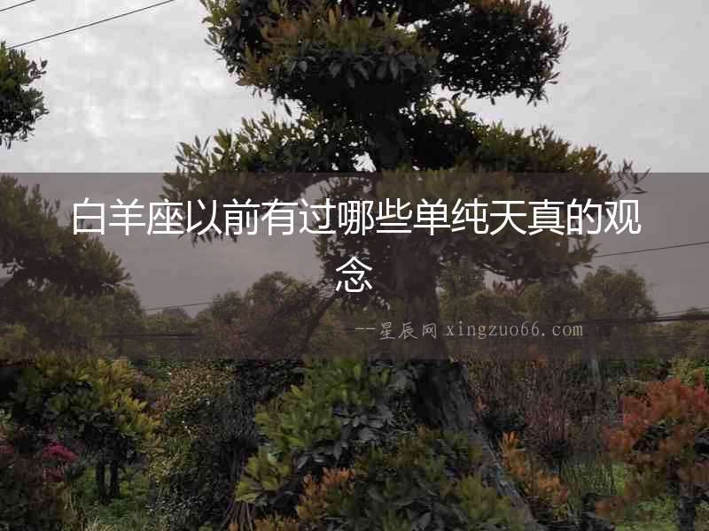白羊座以前有過哪些單純天真的觀念