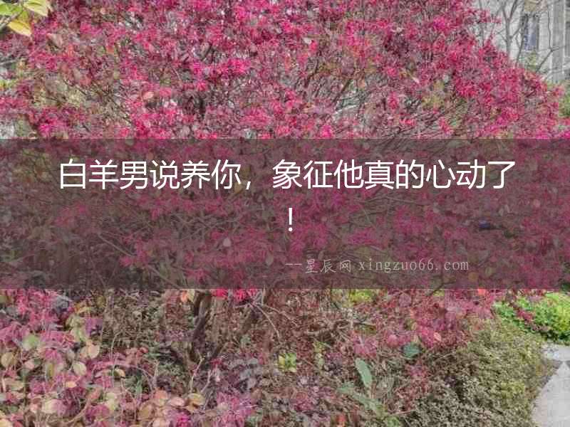 白羊男說養(yǎng)你，象征他真的心動(dòng)了！
