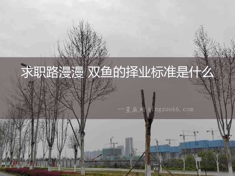 求職路漫漫 雙魚的擇業(yè)標(biāo)準(zhǔn)是什么