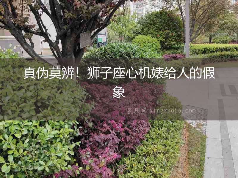 真?zhèn)文?！獅子座心機(jī)婊給人的假象