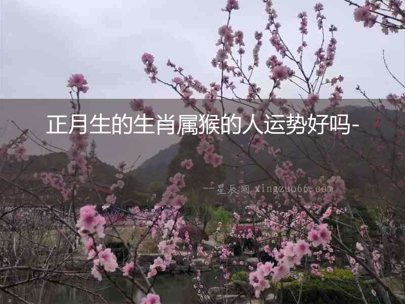 正月生的生肖屬猴的人運(yùn)勢好嗎-