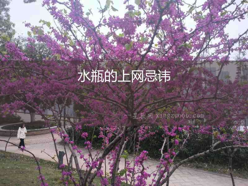 水瓶的上網(wǎng)忌諱