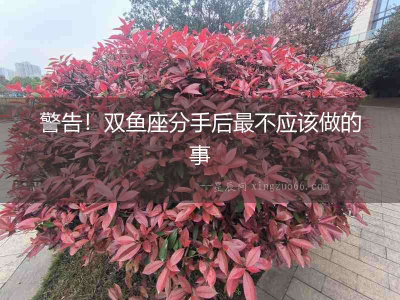 警告！雙魚座分手后最不應該做的事