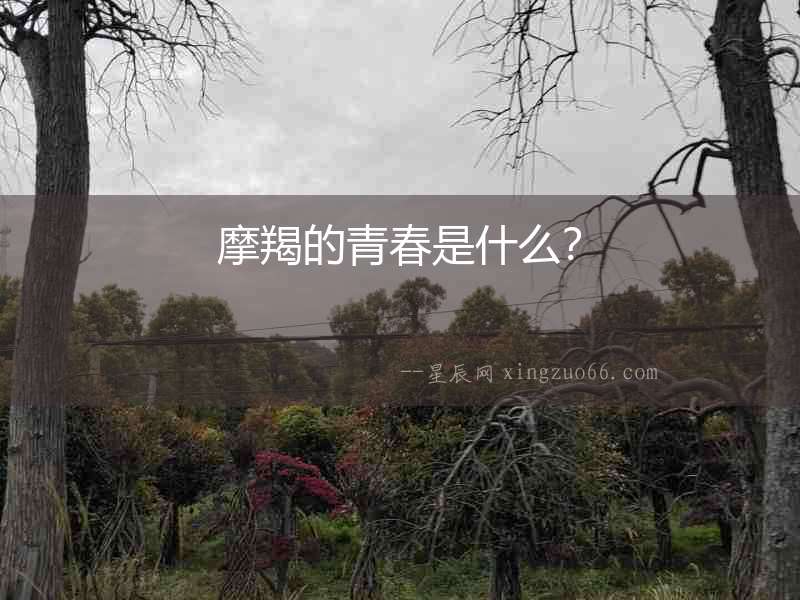 摩羯的青春是什么？