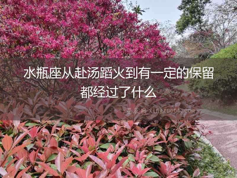 水瓶座從赴湯蹈火到有一定的保留都經過了什么