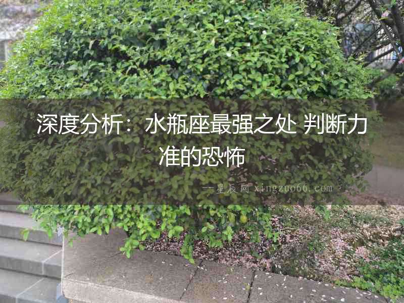 深度分析：水瓶座最強(qiáng)之處 判斷力準(zhǔn)的恐怖