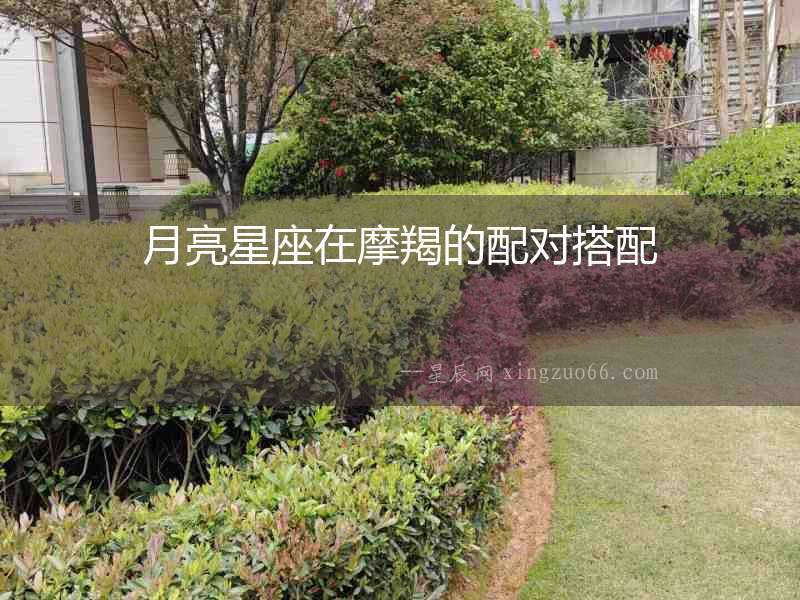 月亮星座在摩羯的配對搭配