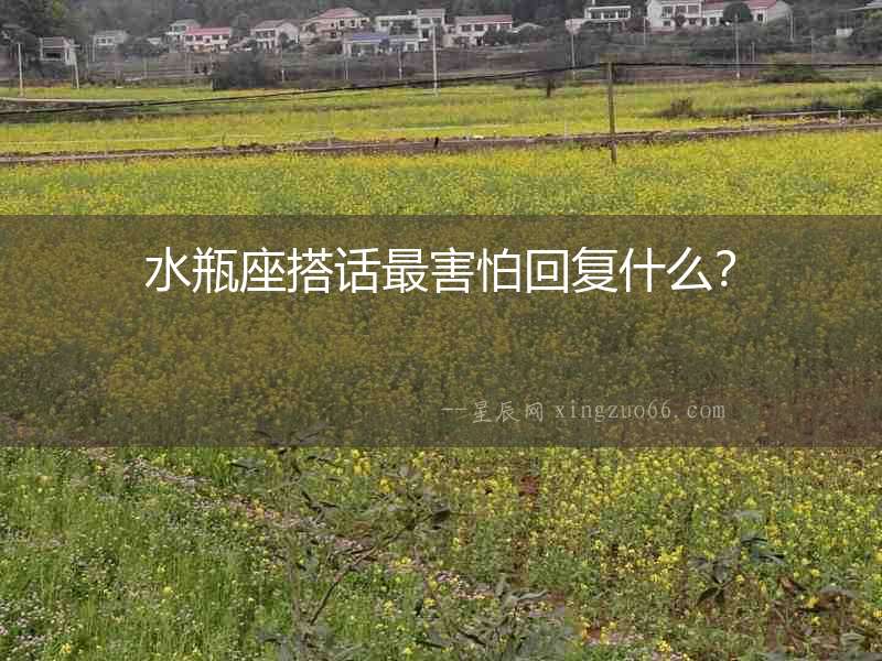 水瓶座搭話最害怕回復什么？