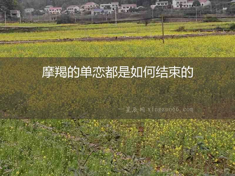 摩羯的單戀都是如何結(jié)束的