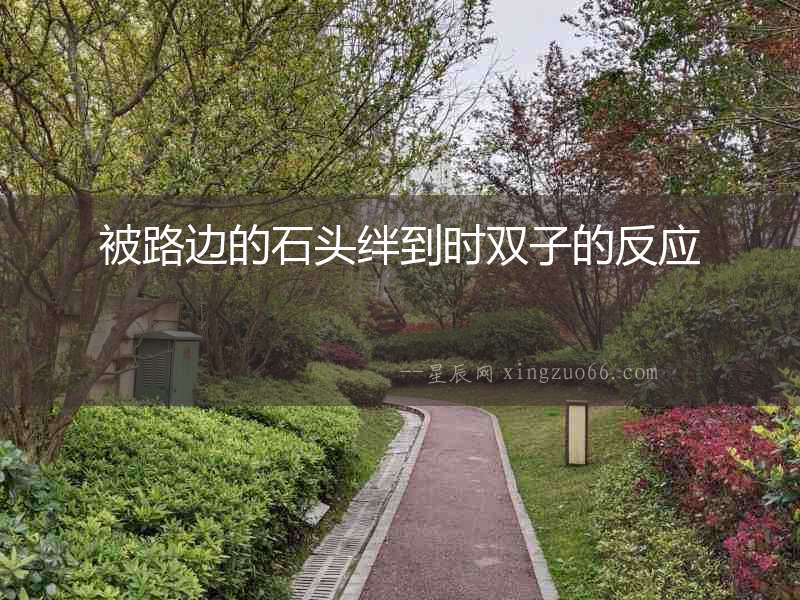 被路邊的石頭絆到時(shí)雙子的反應(yīng)
