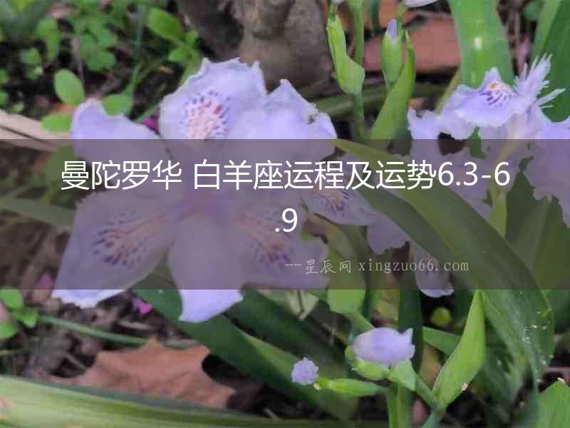 曼陀羅華 白羊座運程及運勢6.3-6.9