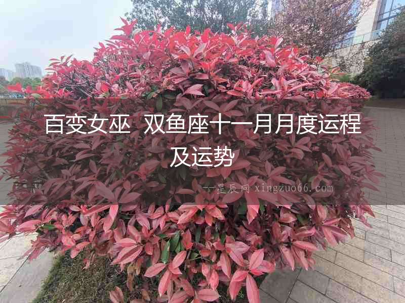 百變女巫  雙魚座十一月月度運程及運勢