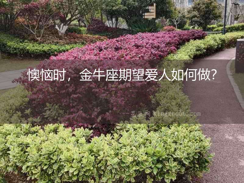 懊惱時，金牛座期望愛人如何做？
