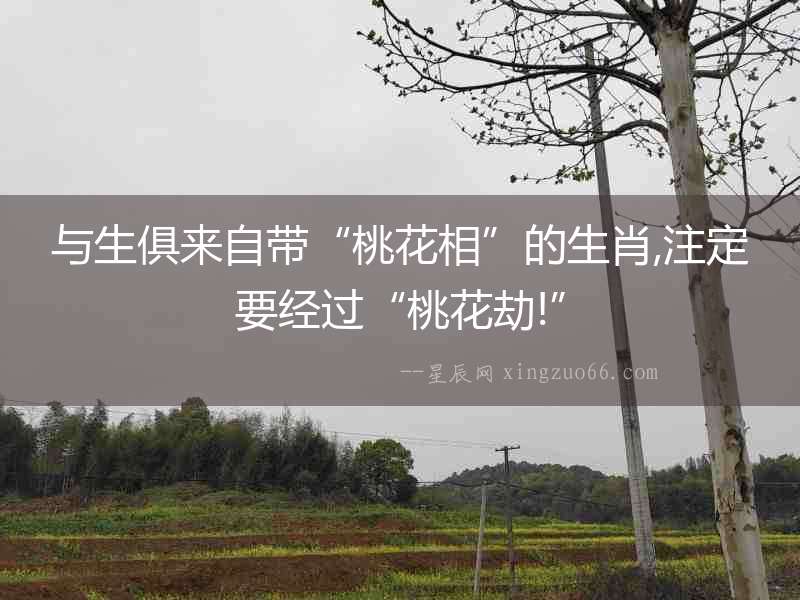 與生俱來自帶“桃花相”的生肖,注定要經過“桃花劫!”