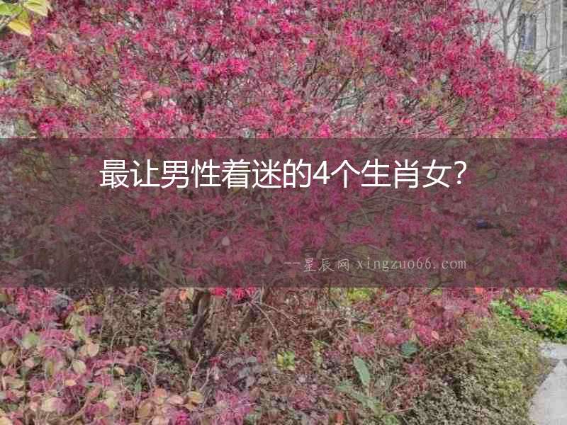 最讓男性著迷的4個生肖女？
