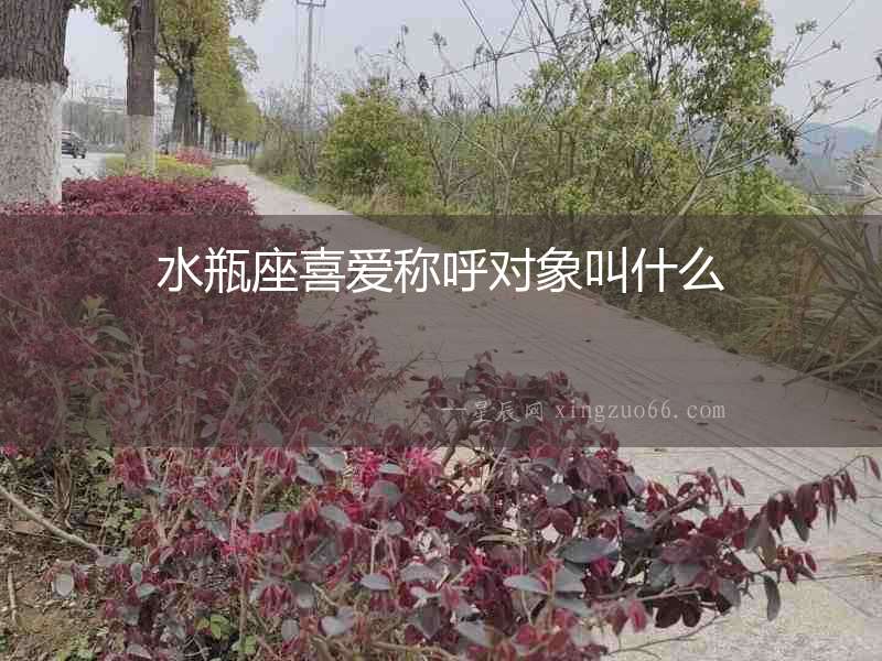 水瓶座喜愛(ài)稱(chēng)呼對(duì)象叫什么