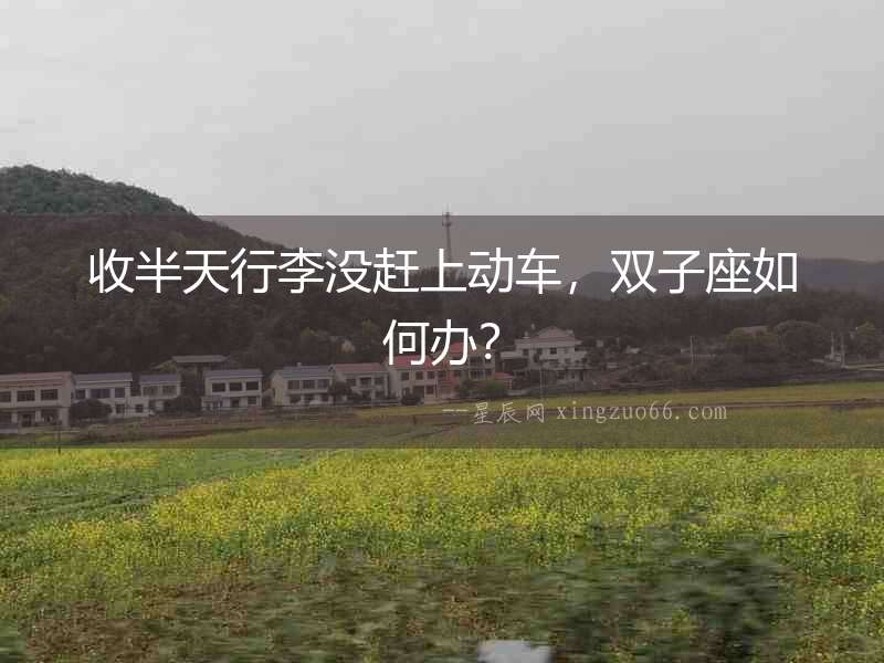 收半天行李沒趕上動車，雙子座如何辦？