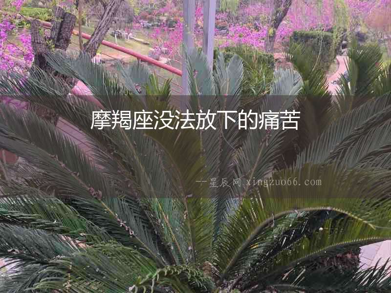 摩羯座沒(méi)法放下的痛苦
