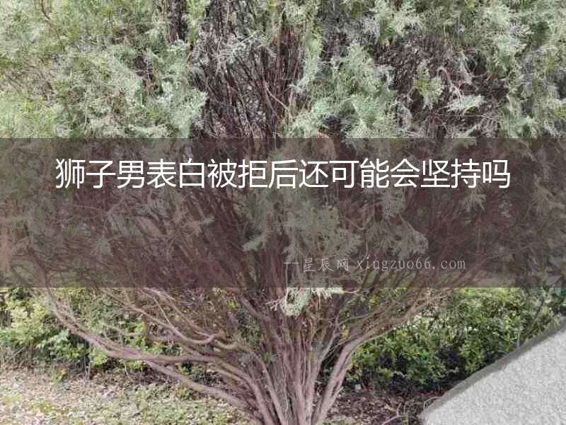 獅子男表白被拒后還可能會(huì)堅(jiān)持嗎