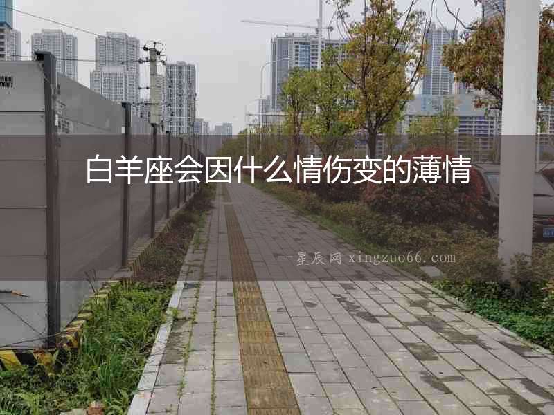 白羊座會因什么情傷變的薄情