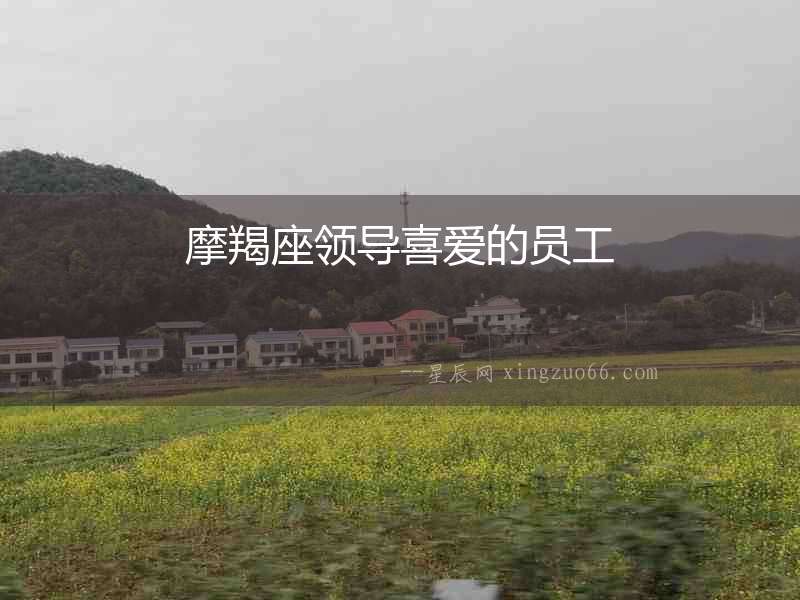 摩羯座領(lǐng)導(dǎo)喜愛的員工