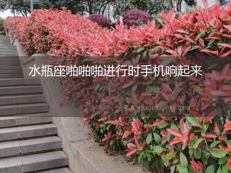 水瓶座啪啪啪進行時手機響起來