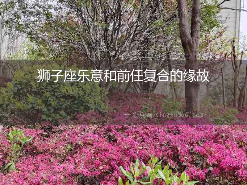 獅子座樂(lè)意和前任復(fù)合的緣故