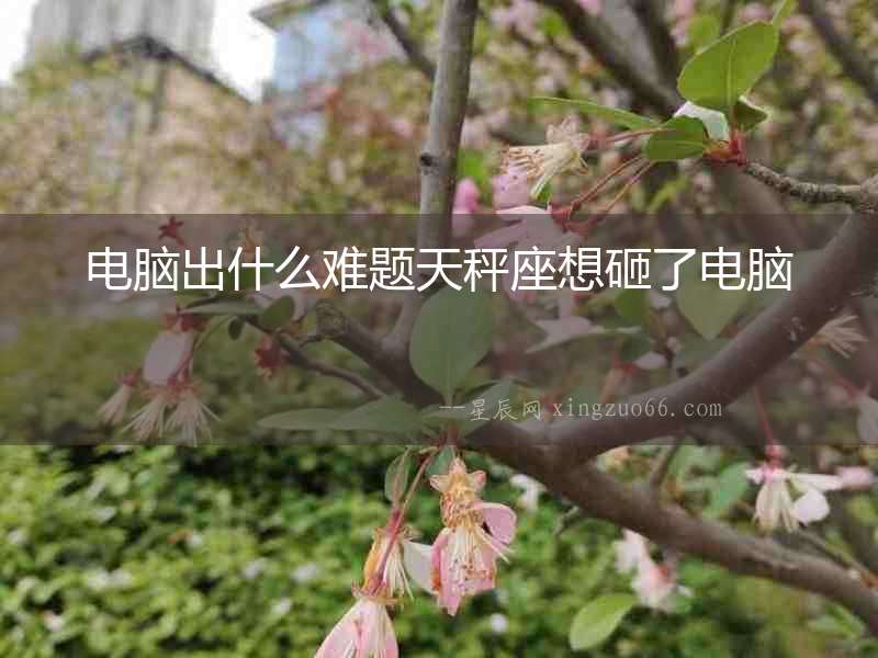 電腦出什么難題天秤座想砸了電腦