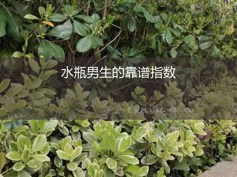 水瓶男生的靠譜指數(shù)
