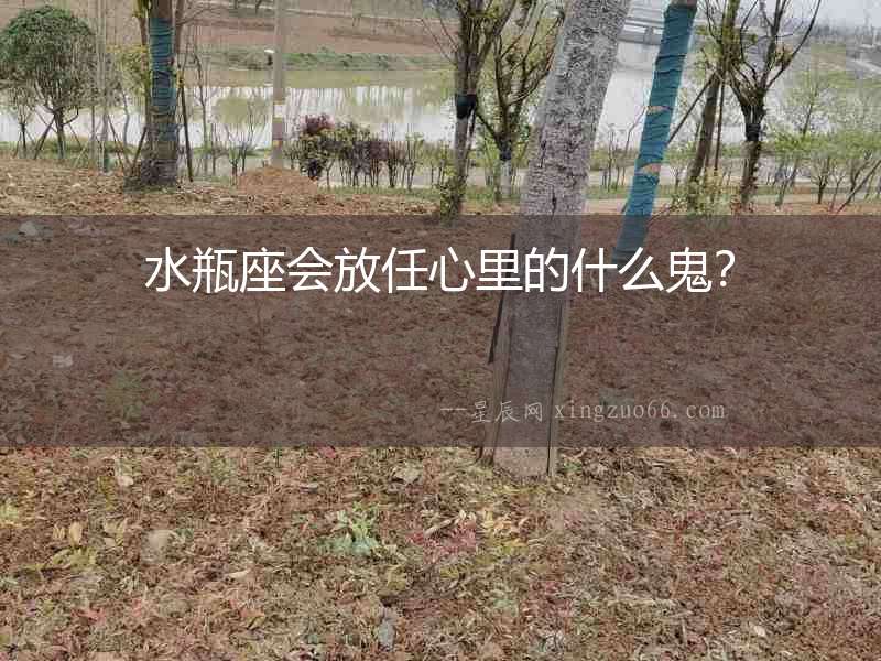 水瓶座會(huì)放任心里的什么鬼？