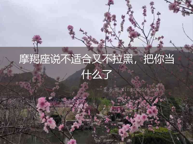 摩羯座說不適合又不拉黑，把你當什么了