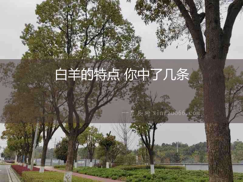 白羊的特點 你中了幾條