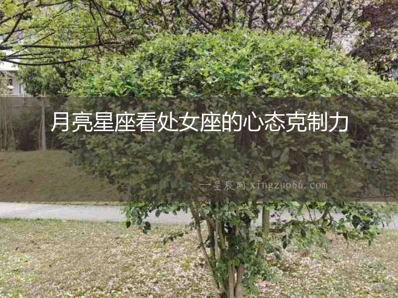 月亮星座看處女座的心態克制力