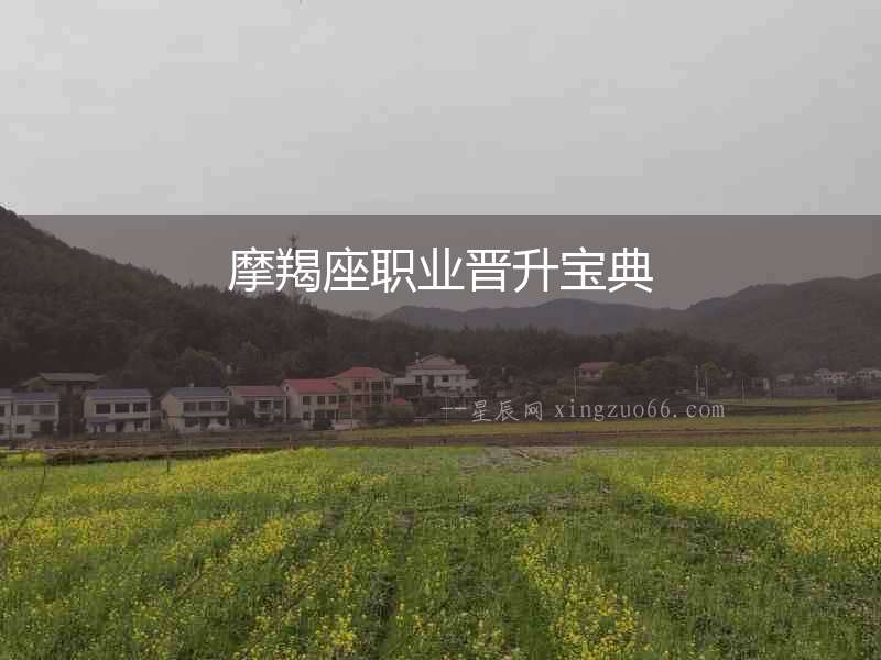 摩羯座職業晉升寶典