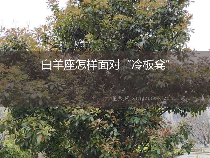 白羊座怎樣面對“冷板凳”