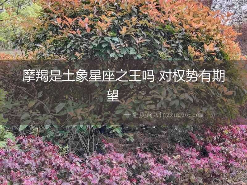 摩羯是土象星座之王嗎 對權(quán)勢有期望  　　