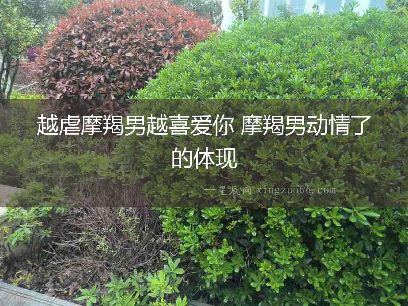 越虐摩羯男越喜愛你 摩羯男動情了的體現