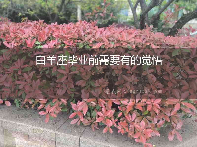白羊座畢業(yè)前需要有的覺(jué)悟