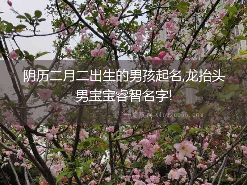 陰歷二月二出生的男孩起名,龍抬頭男寶寶睿智名字!