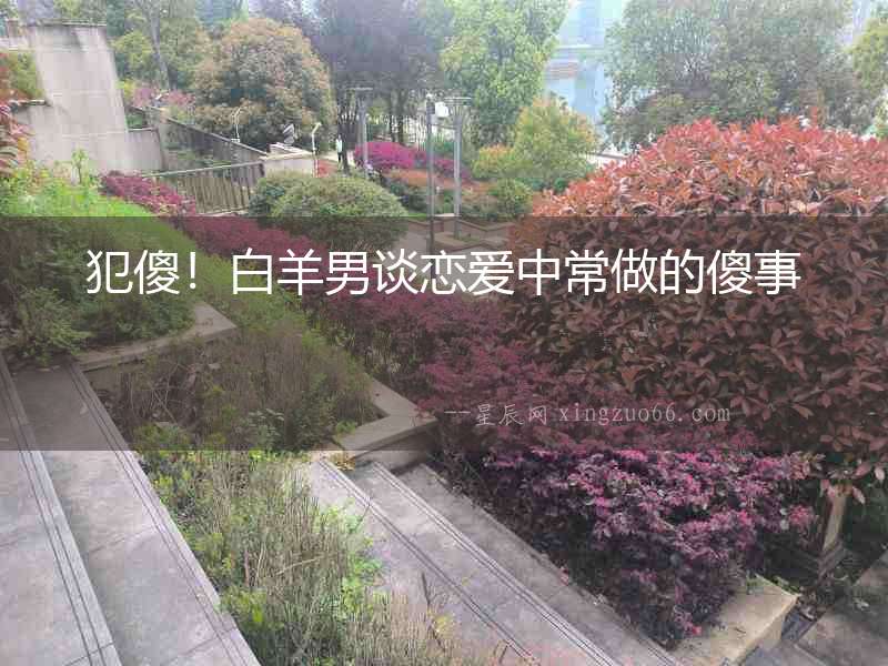 犯傻！白羊男談戀愛中常做的傻事