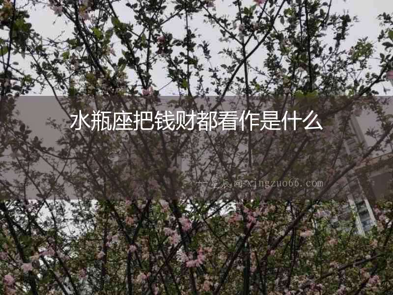 水瓶座把錢財(cái)都看作是什么