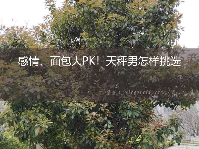 感情、面包大PK！天秤男怎樣挑選