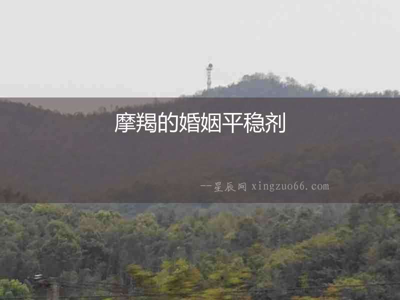 摩羯的婚姻平穩(wěn)劑