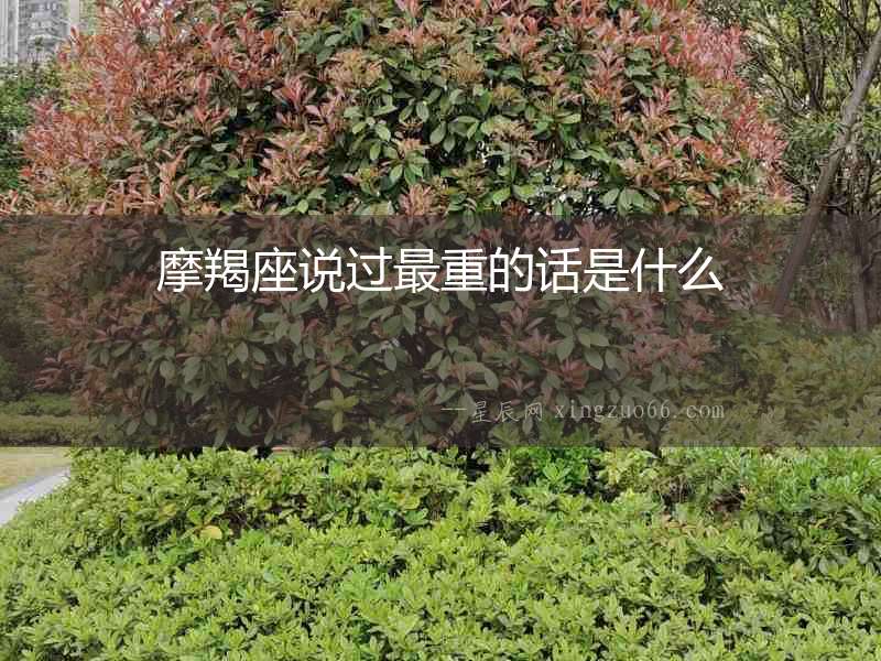摩羯座說(shuō)過(guò)最重的話是什么