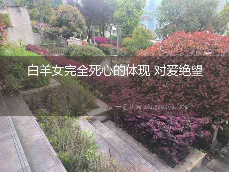 白羊女完全死心的體現(xiàn) 對愛絕望