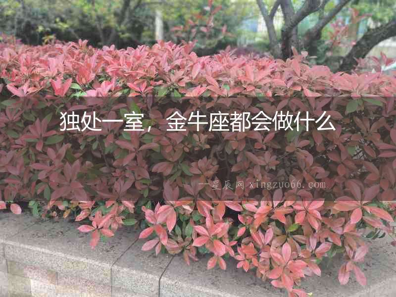 獨(dú)處一室，金牛座都會(huì)做什么