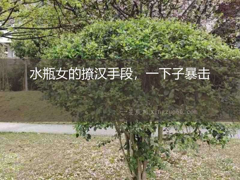 水瓶女的撩漢手段，一下子暴擊